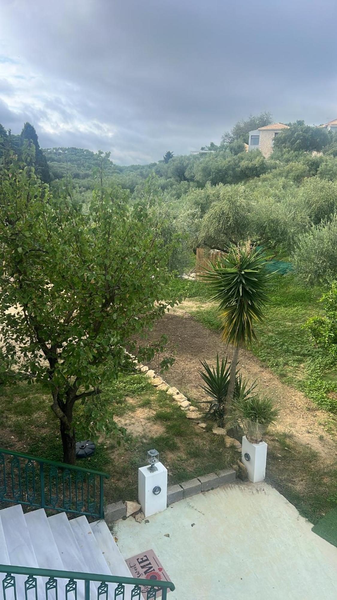 St Nicholas Tsilivi Apts By "Elite" Πλάνος Εξωτερικό φωτογραφία