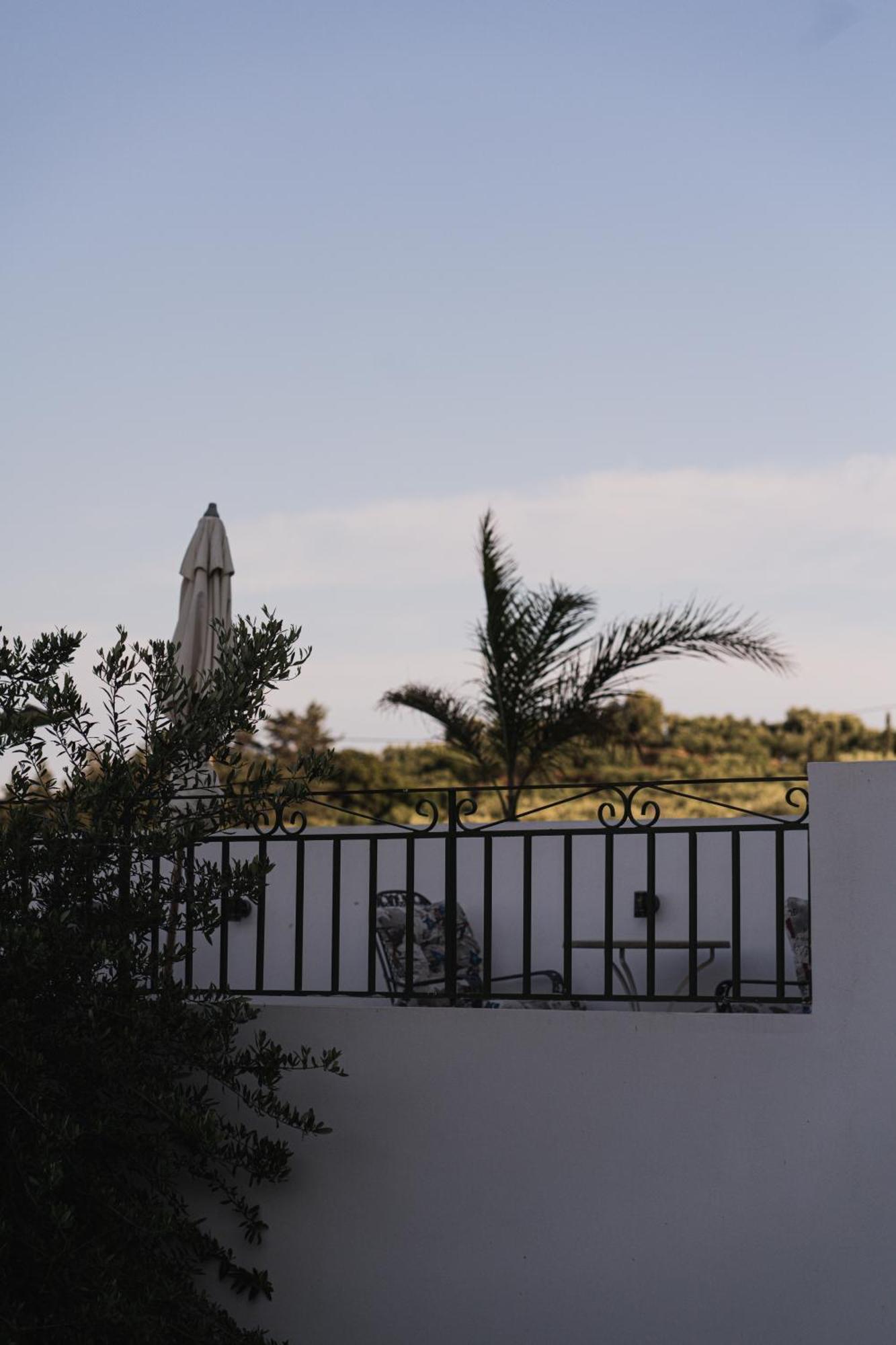 St Nicholas Tsilivi Apts By "Elite" Πλάνος Εξωτερικό φωτογραφία