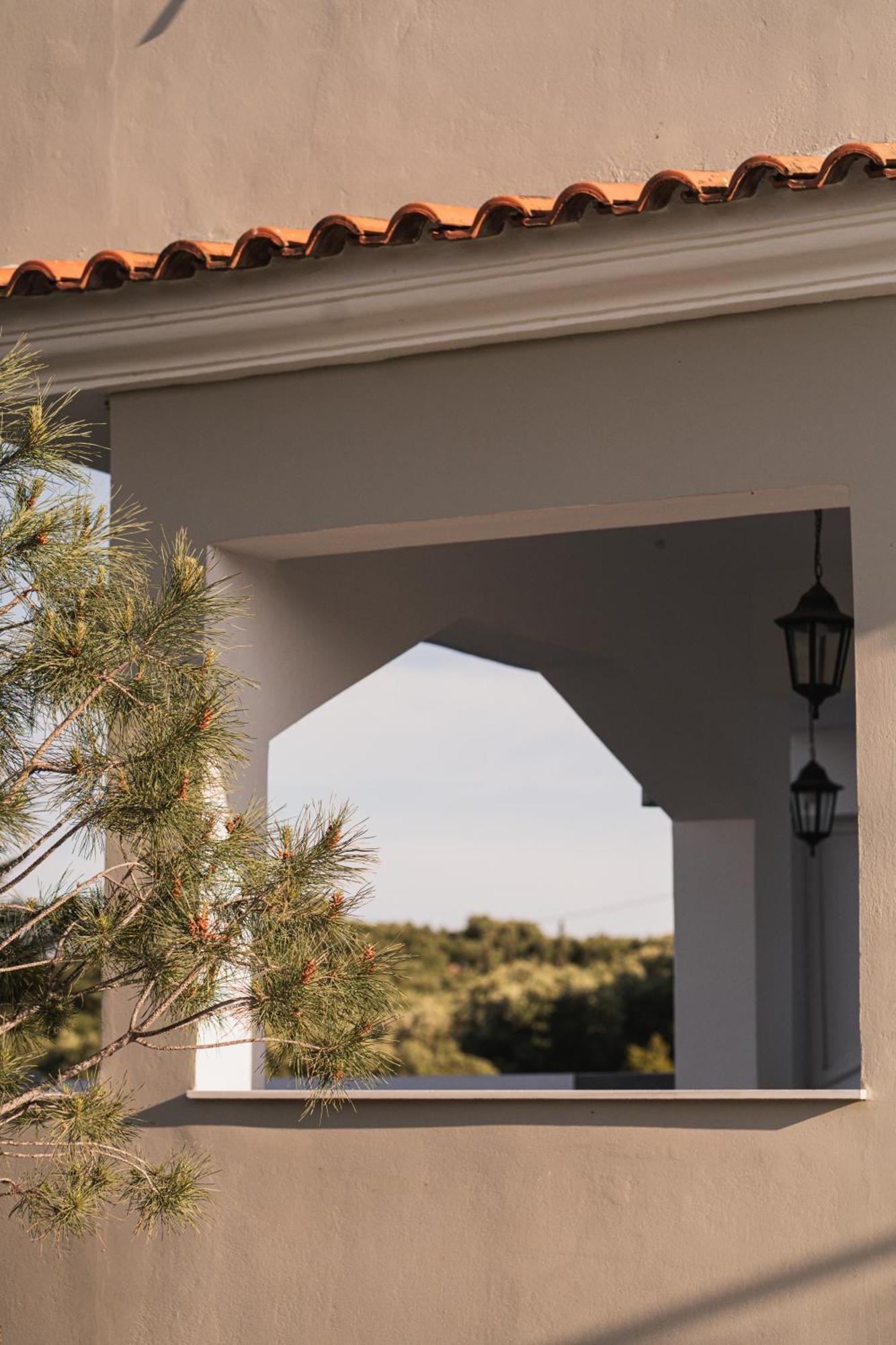 St Nicholas Tsilivi Apts By "Elite" Πλάνος Εξωτερικό φωτογραφία